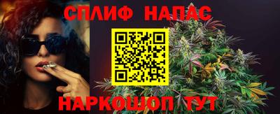 индика Кунгур
